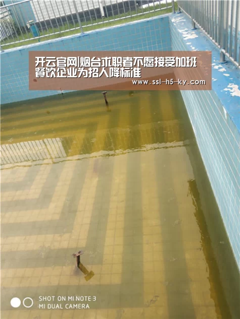 开云官网|烟台求职者不愿接受加班 餐饮企业为招人降标准(图1) 开云体育